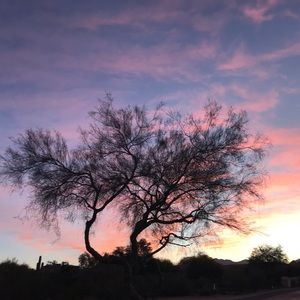 Meet your Posher, Fawaz